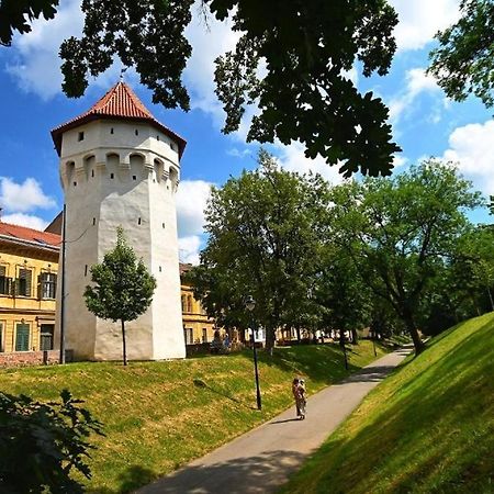 Апартаменти Casa Panzarului Сібіу Екстер'єр фото